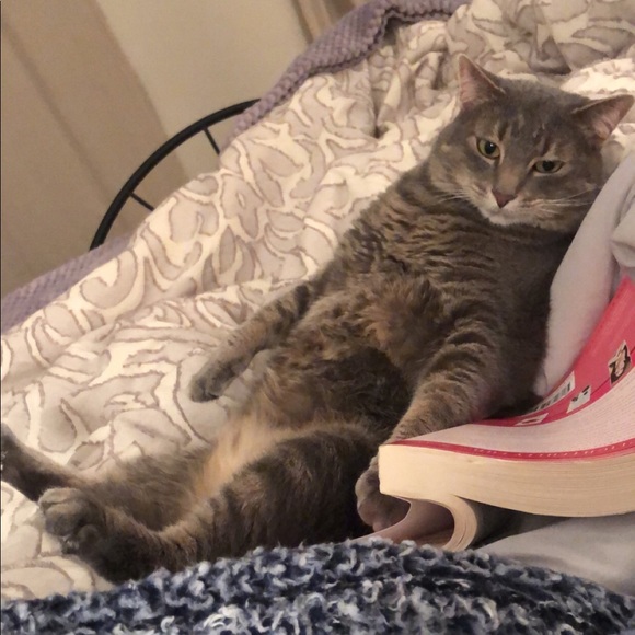 β’ meet the assistants β’ - Picture 15 of 15